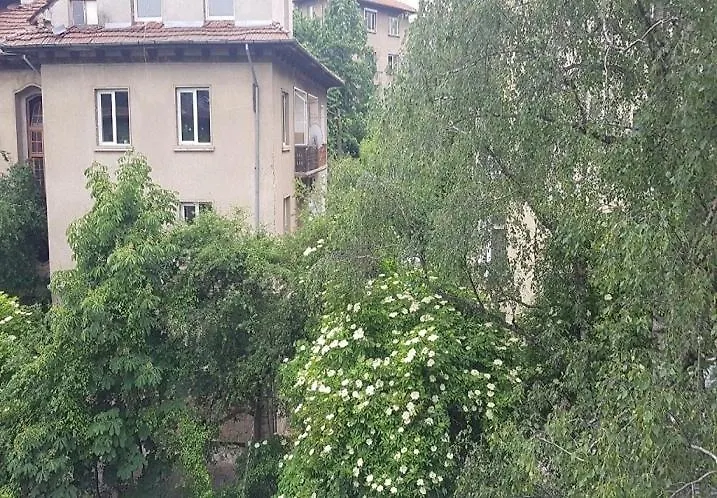 Apartment Bryast Street Sofia Bulgaria